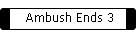 Ambush Ends 3